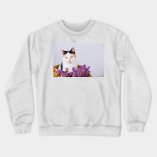 lovely kitten Crewneck Sweatshirt